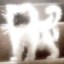 full charged Icon