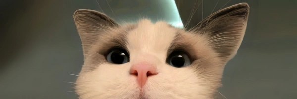 cat Token Header