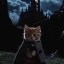 Cat Fantasy Icon