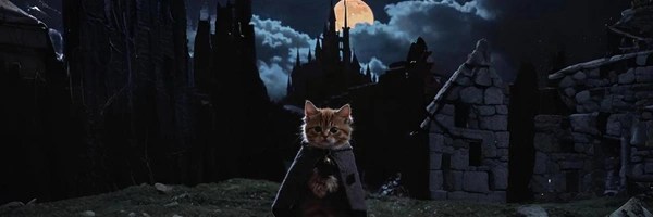 Cat Fantasy Token Header