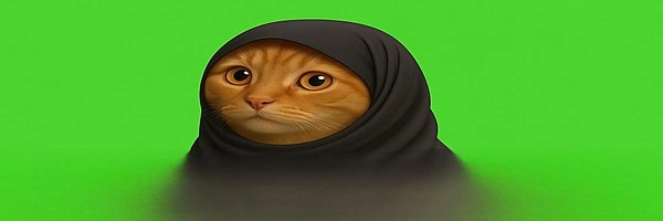 CatWifHijab Token Header
