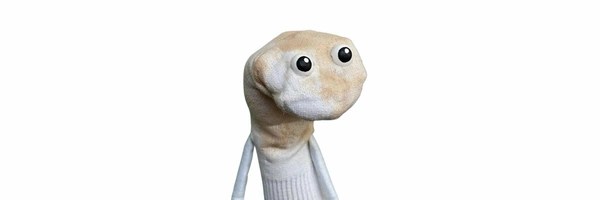 cum sock Token Header