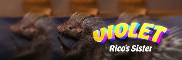 Rico's Sister Token Header