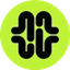 PlayMind Icon