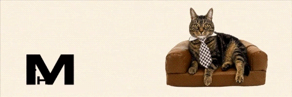 Milo The Chonky Cat Token Header