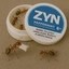 Zyn Addicted Ants  Icon