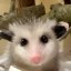 Ellie The Baby Opossum Icon