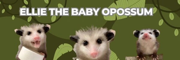 Ellie The Baby Opossum Token Header