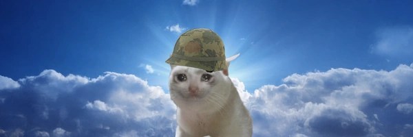 catsualty Token Header