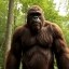 Bigfoot Vlogs Icon