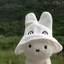 miffy  Icon