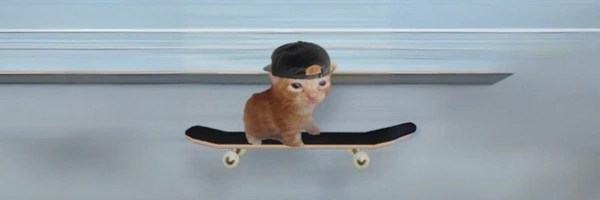 radcat Token Header