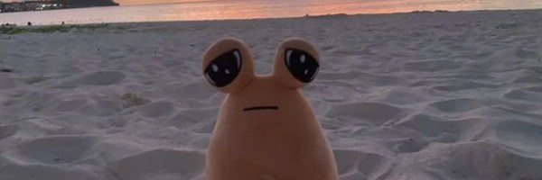 POU Token Header
