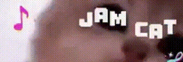 jam cat Token Header