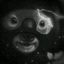 DAVO WIF MASK Icon