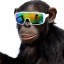 Toli The Trencher Icon