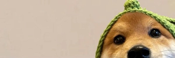 lou Token Header