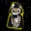 meowarz Icon