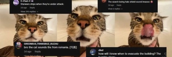peanut the cat Token Header