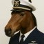Neighvy Icon