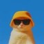 bitcat Icon