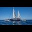 Freedom Flotilla Icon