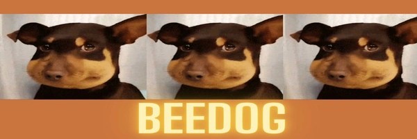 Bee Dog Token Header