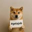 dogwiffacts Icon