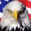 American Coin Icon