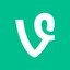 Vine Coin Icon