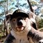 Davo Icon