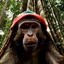 Rasta Monkey Icon