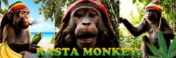 Rasta Monkey Token Header