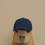 Cap Icon