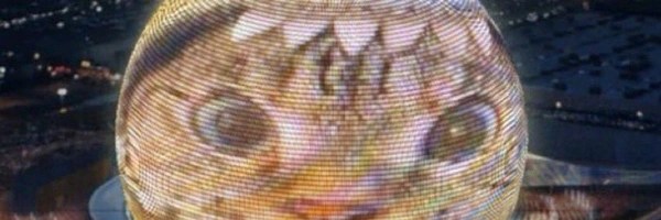 Shark Cat Token Header