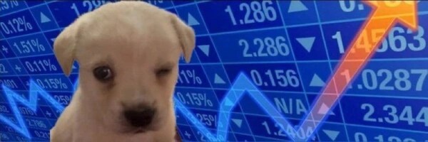 dogwifwink Token Header
