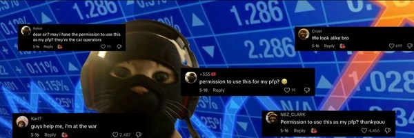 catwifmask Token Header