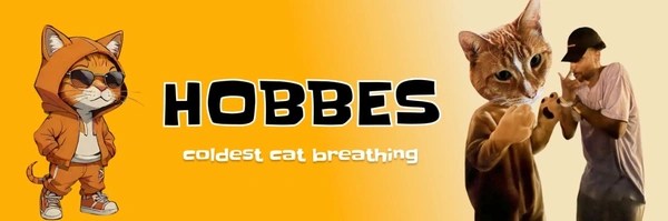 Ansem's Cat Token Header