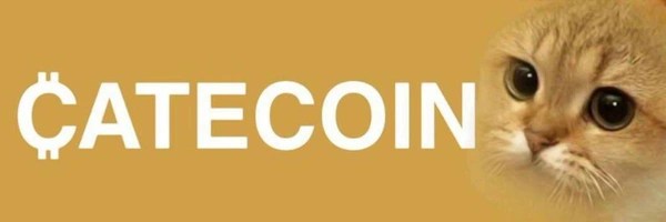Cate Token Header