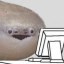 sacabambaspis Icon