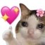 wiflove Icon