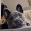 Lola Icon