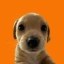 Billy Icon