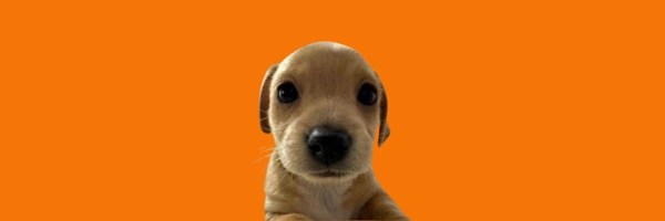 Billy Token Header
