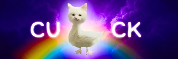 cat duck Token Header