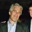 PEDO OF THE UNITED STATES Icon