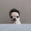 dogwifhair Icon