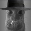 nukecat Icon