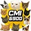 Cat Meme Index 6900 Icon