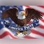 THE AMERICA PARTY Icon